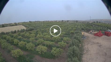 lemoncam italy|EarthCam .